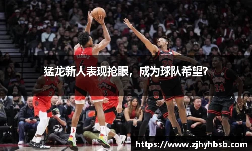 猛龙新人表现抢眼，成为球队希望？
